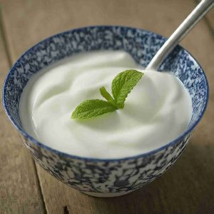 Greek Yogurt